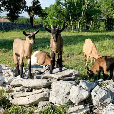 Lägenhet Bevanda Bale